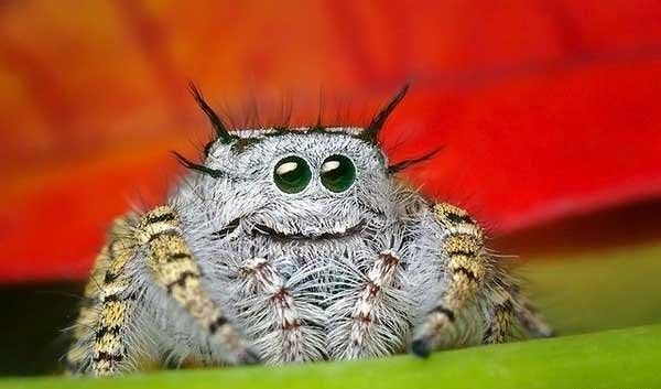 cute4.jpg