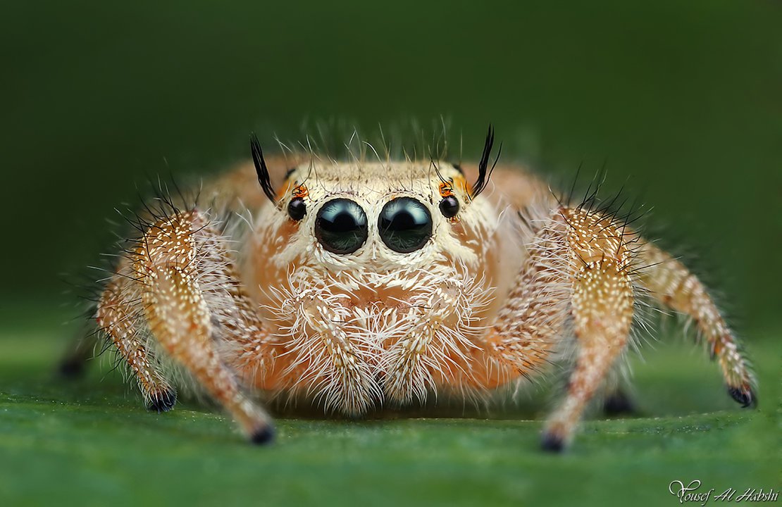 cute5.jpg