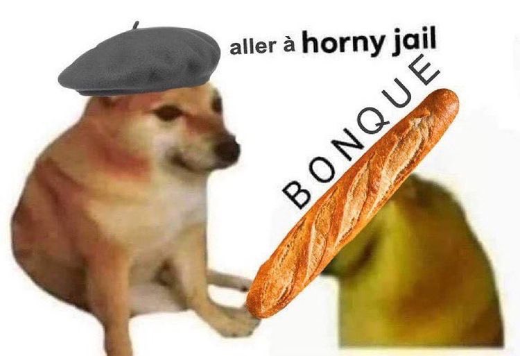 d21.jpeg