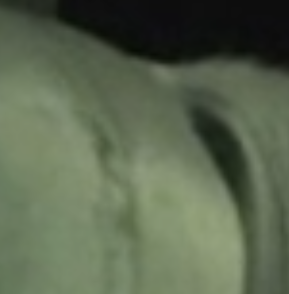 d4.PNG