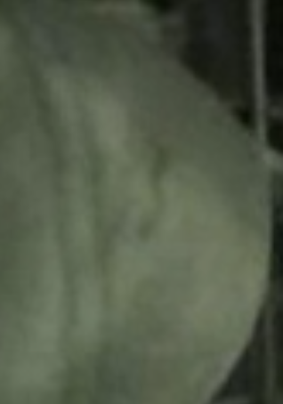 d5.PNG