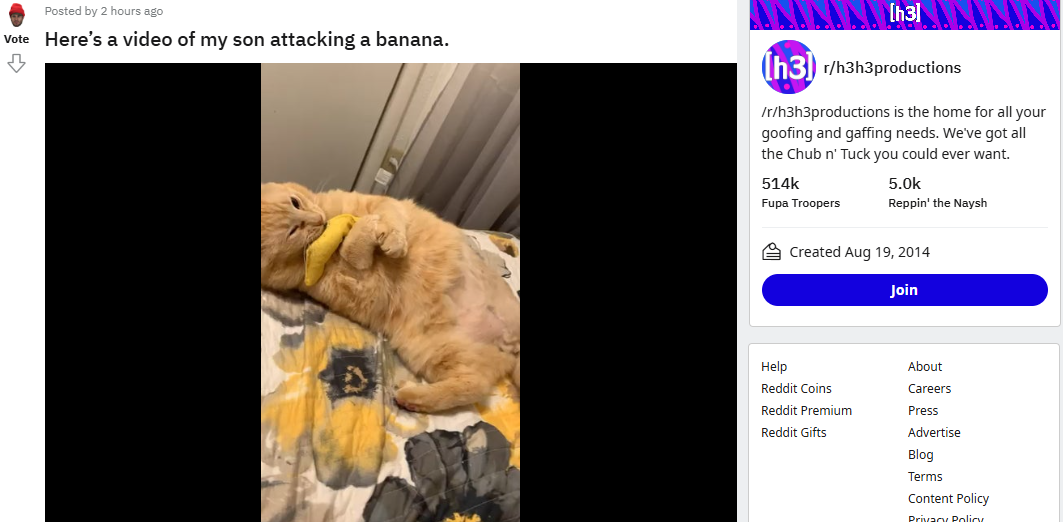 DakotaRedditCat.png
