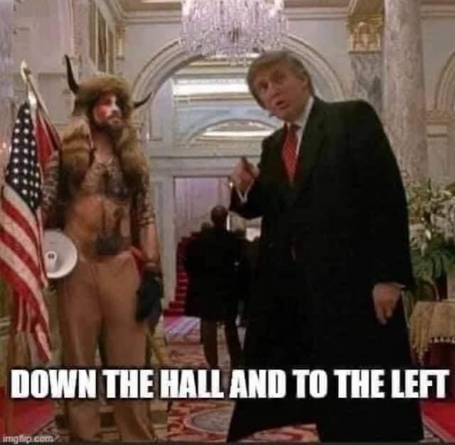 dc867c07c8279135a96e041cdba9758e42a33071.jpeg