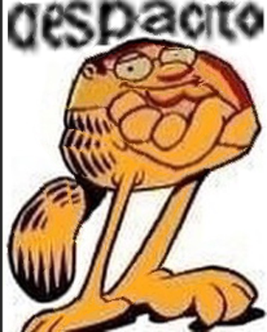 des.png