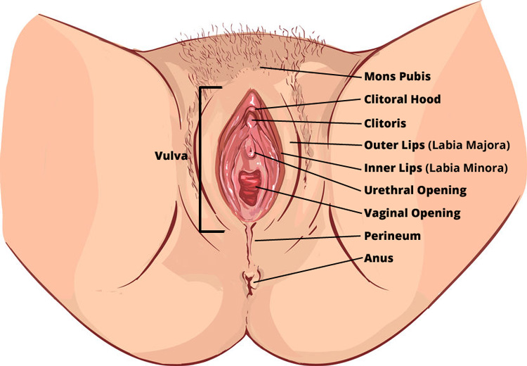 diagram.png