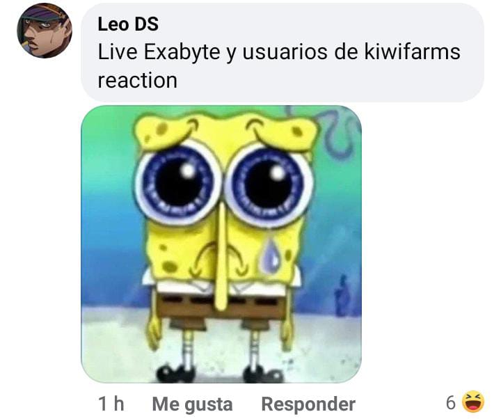 dm2.jpg
