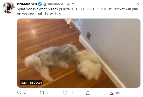 dog.png