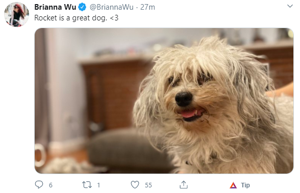 dog.png