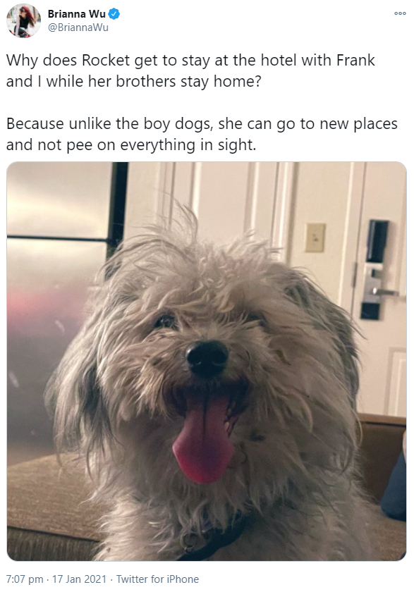dog.png