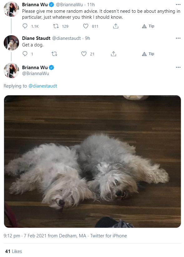 dog.png