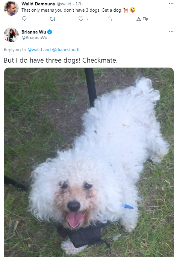 dog.png