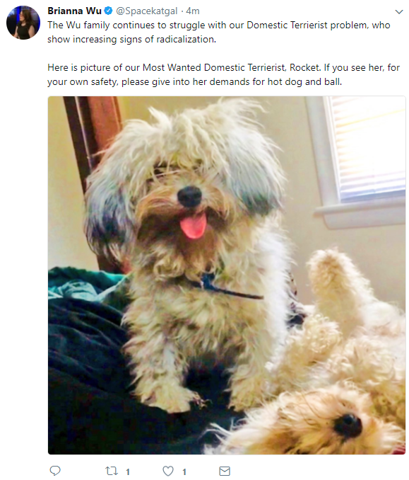 dog.png