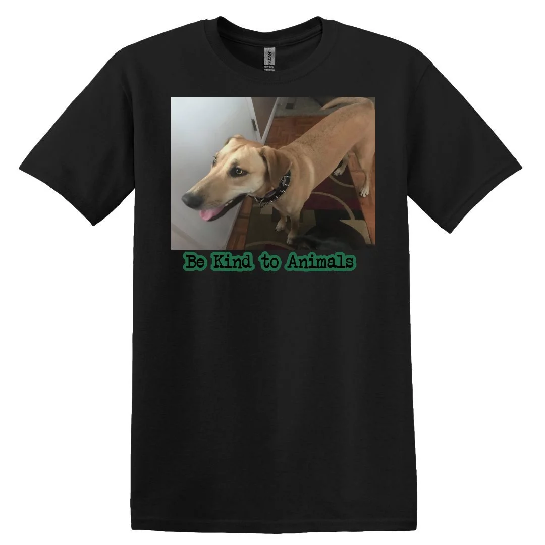 doggo 1.webp