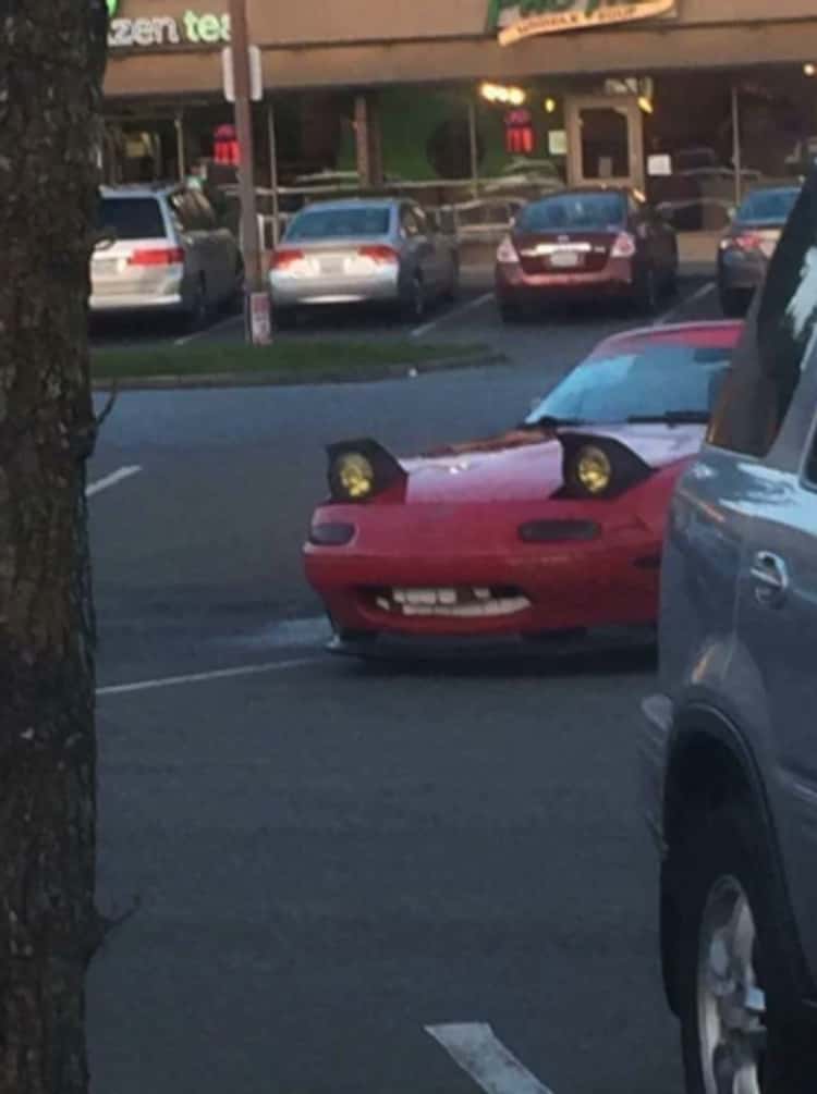 don_t-make-eye-contact-with-this-miata-photo-u1.jpeg