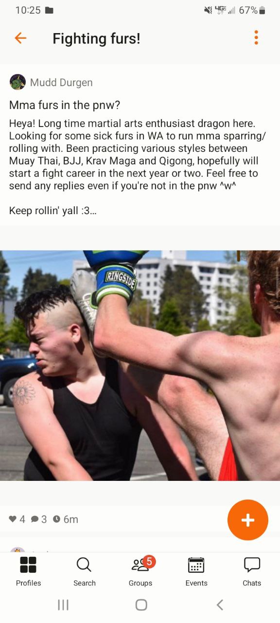 don't eat the bizkit.jpeg