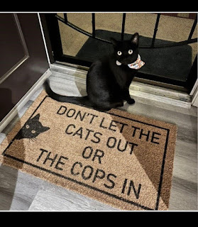 don't let cats out or cops in.png