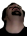 DSPGasm.png