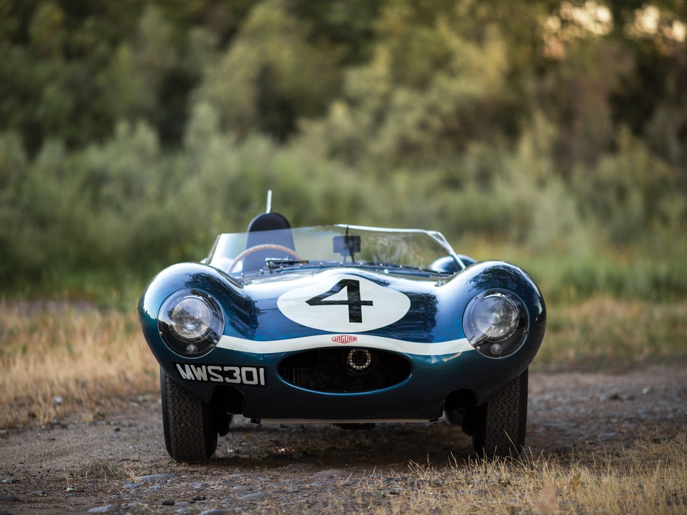 dtype5.jpg
