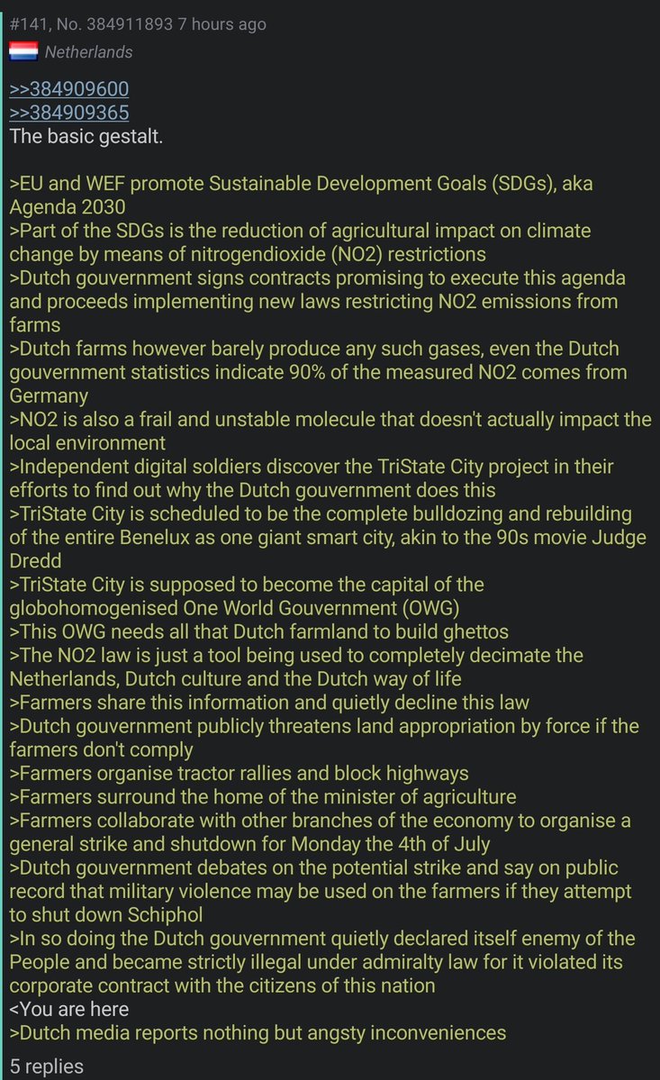 dutch anon.jpeg
