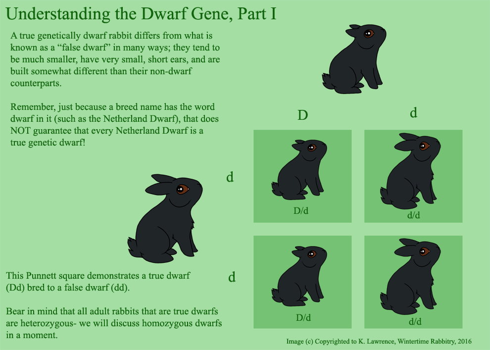 dwarf image.jpg