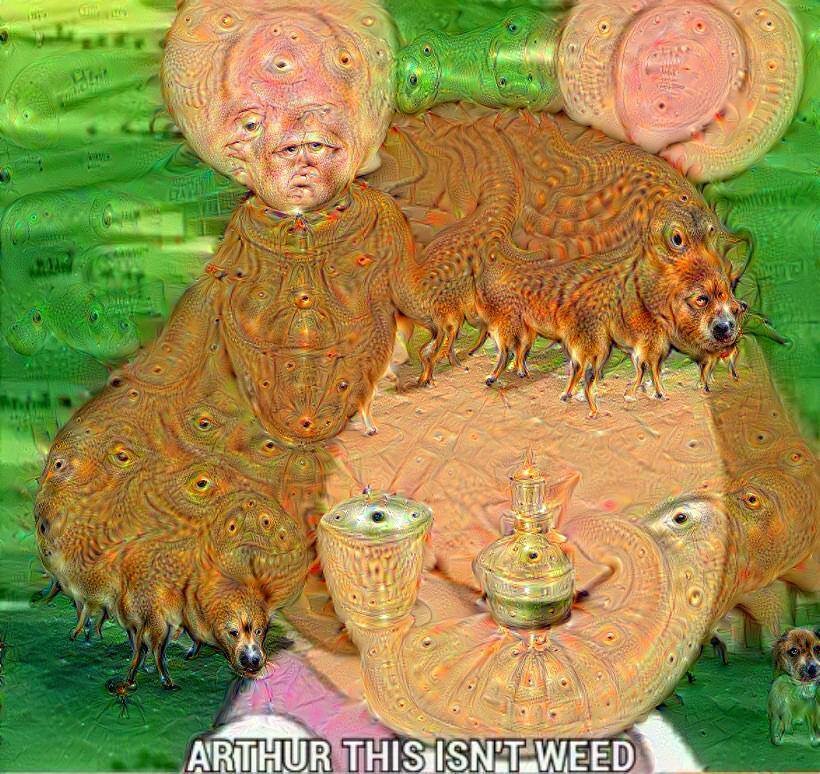 dXrFV4C.jpg