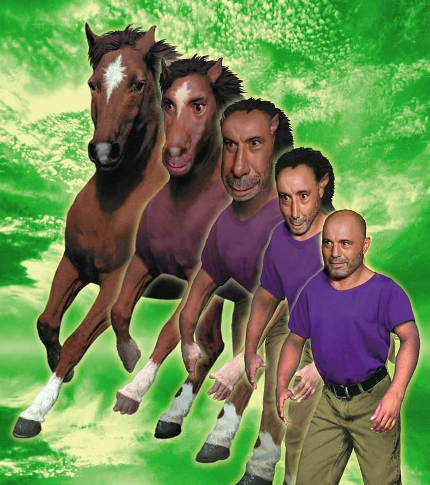 E-YxljEXEA8IILS.jpeg