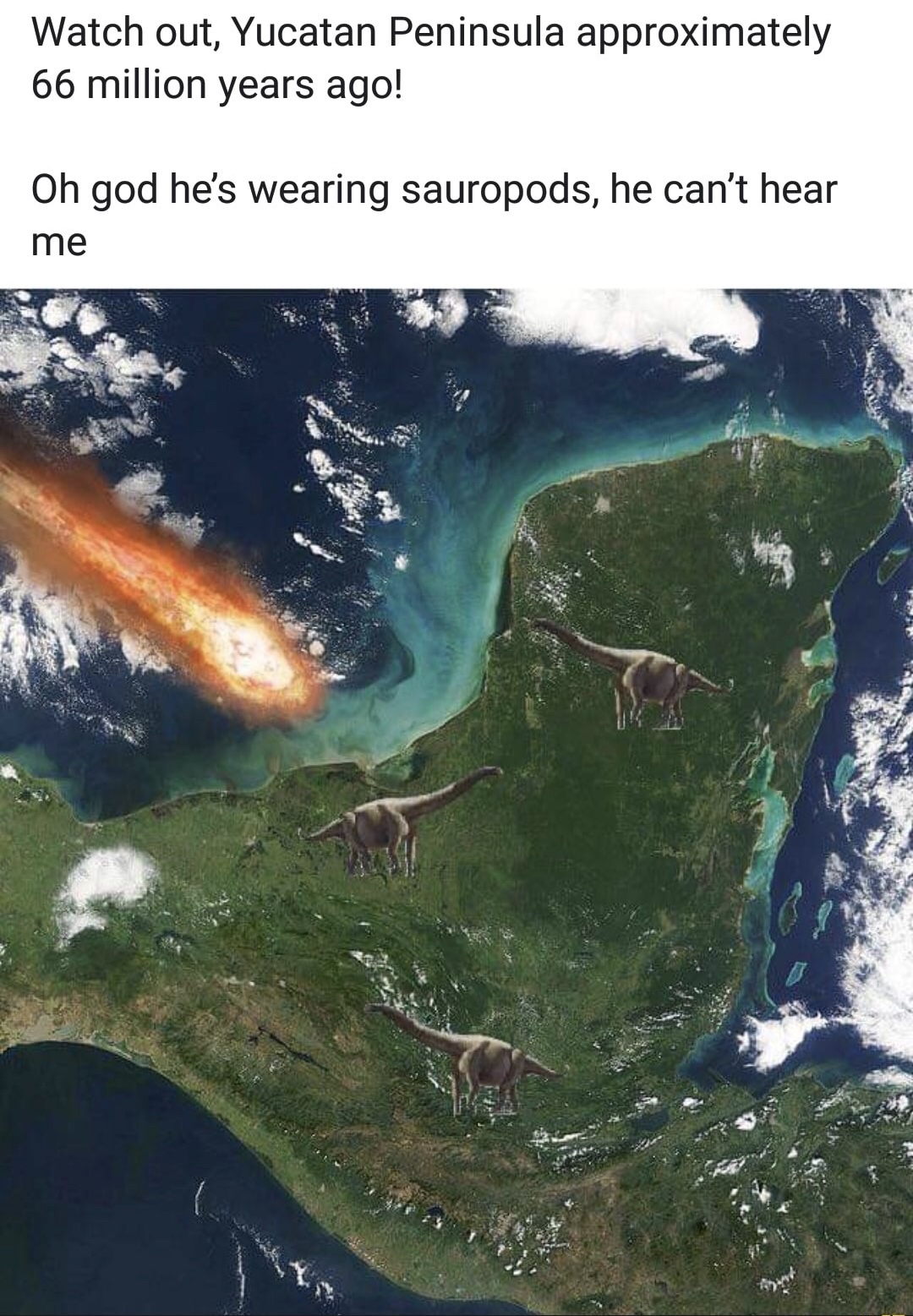 E02B27B5-5DF1-4377-A911-5729A0ED1FA4.jpeg
