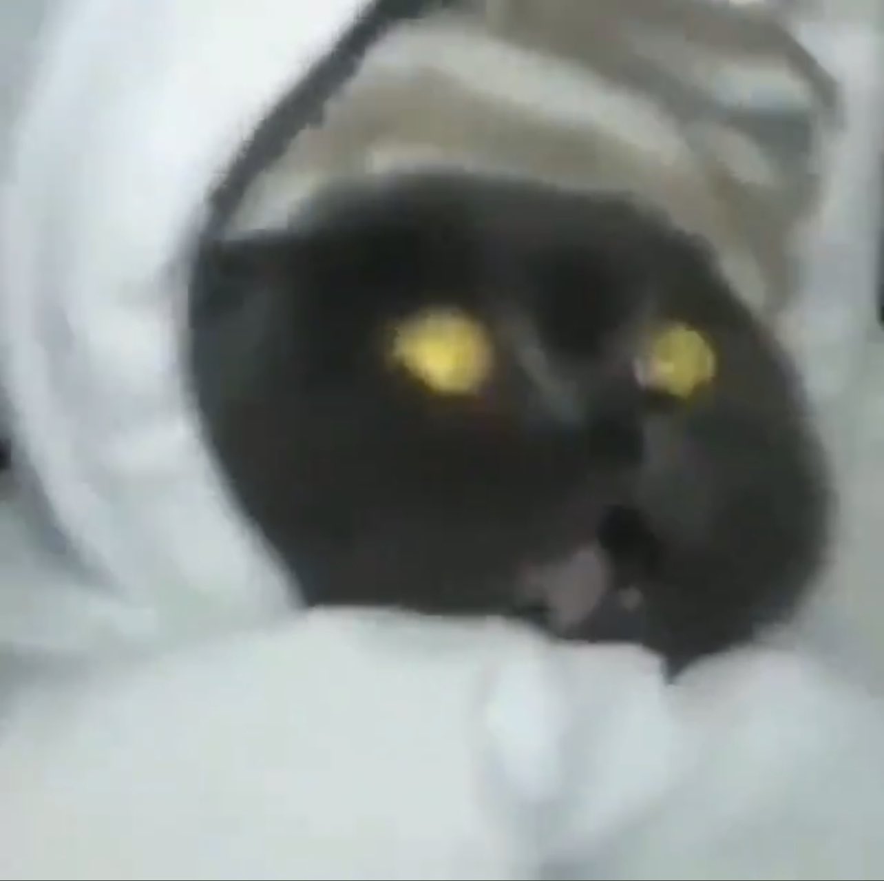 E1zFXL6XIAAg9do.jpeg