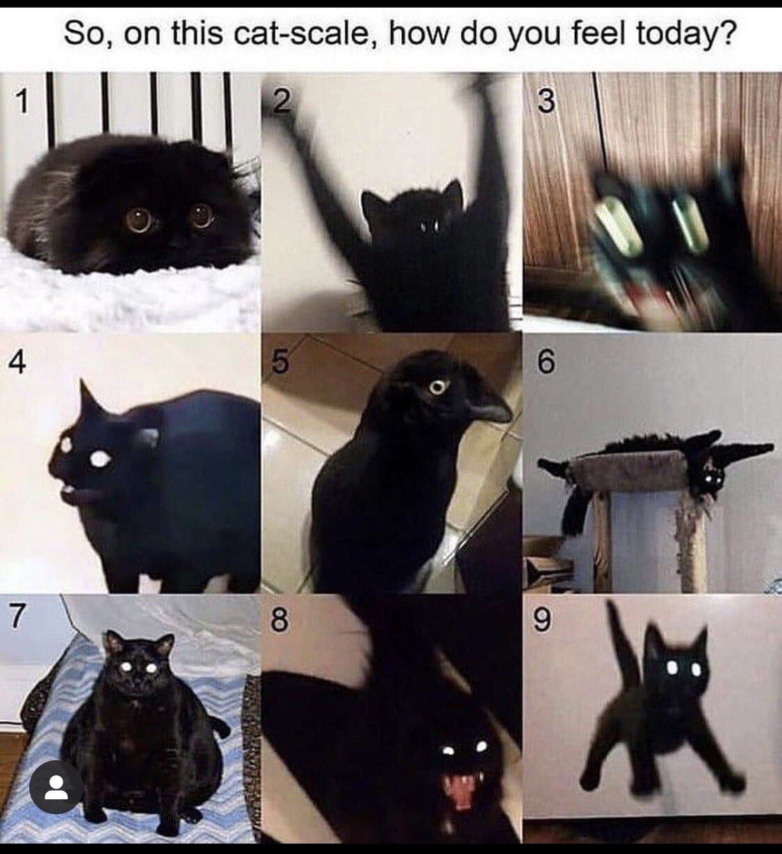 E5B0CC1E-615C-46E6-81E5-F73D294E519E.jpeg