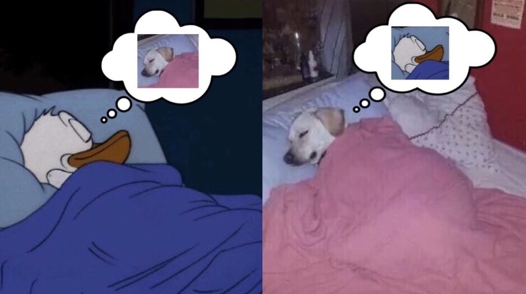 E5E24B26-E425-4D7B-A0E4-4A9EBF89E35C.jpeg