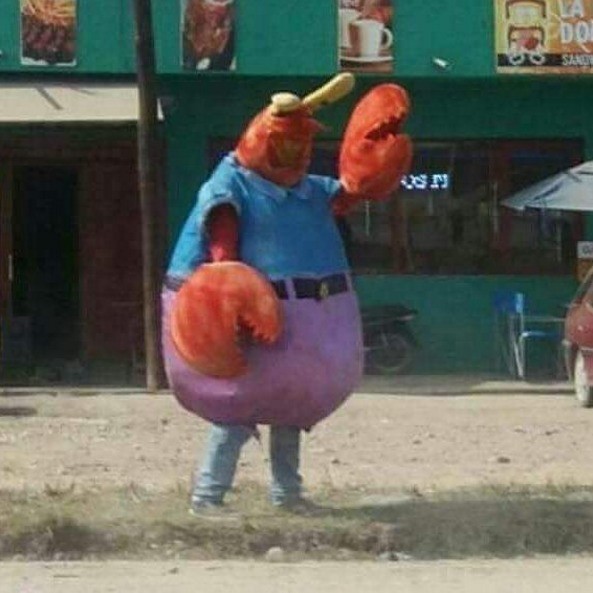 eaeae359e624acb97895e5f2d9765ff0294ce0167d714bb61798d6a23a539f73.jpg