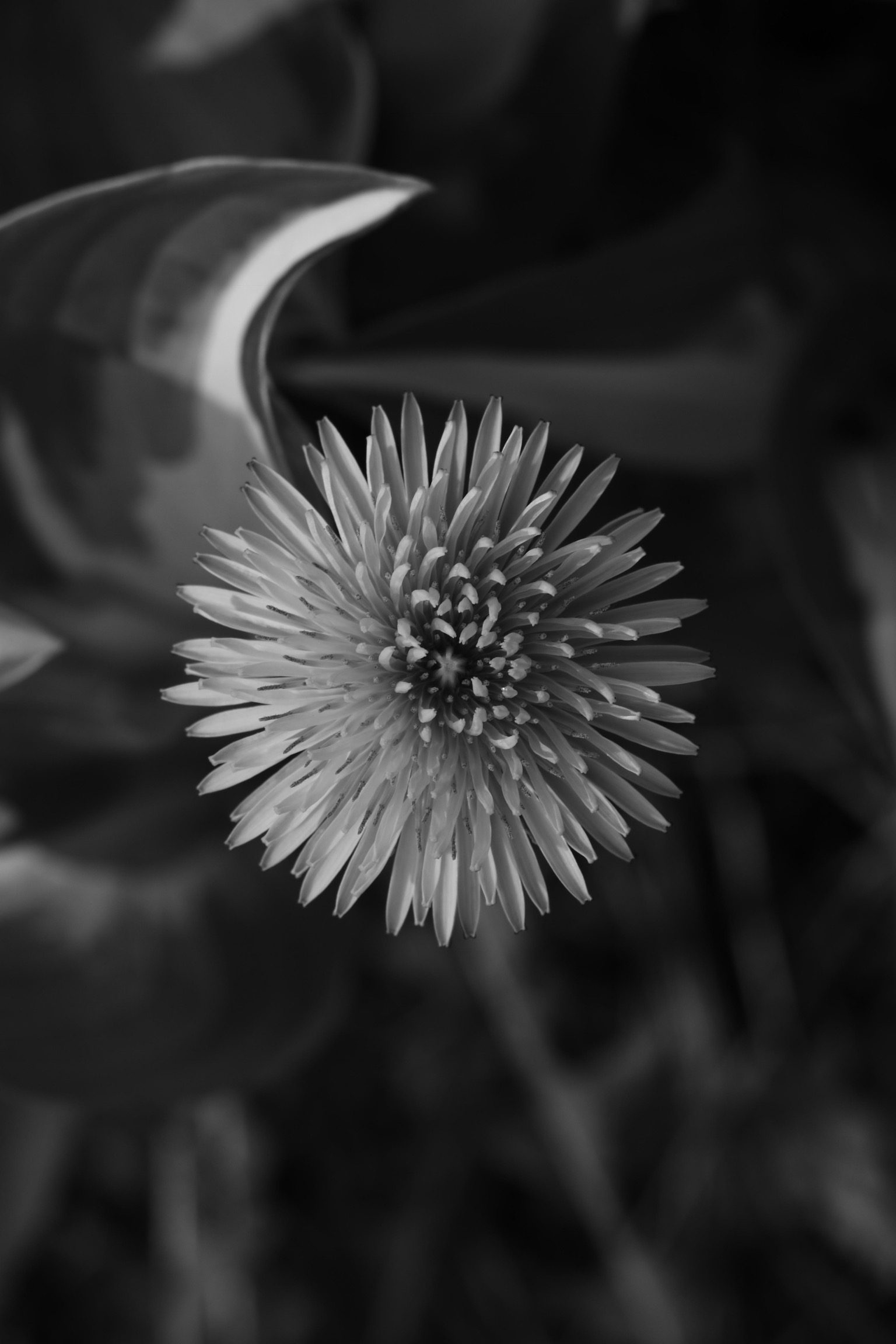 EB48C559-B46B-405F-AA92-A3CA97C74227.jpeg