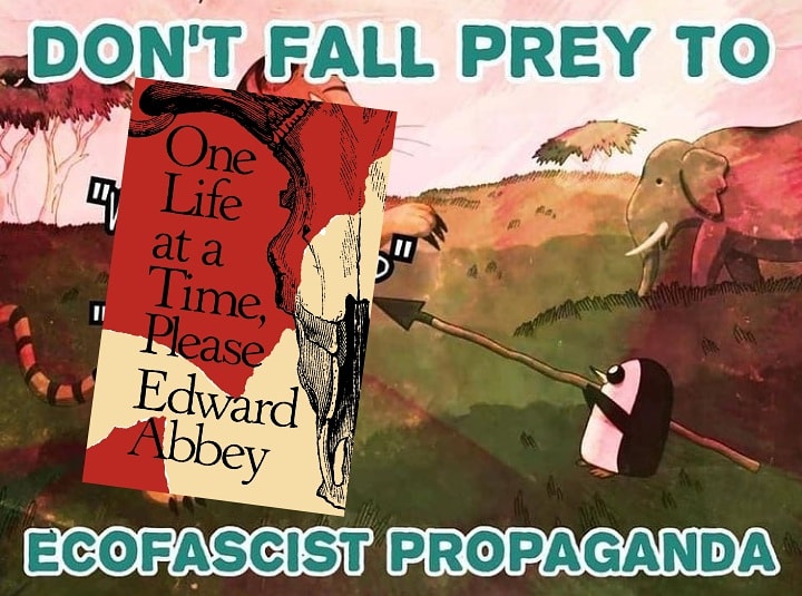 Euq6lrcU4AUXTLT.jpeg