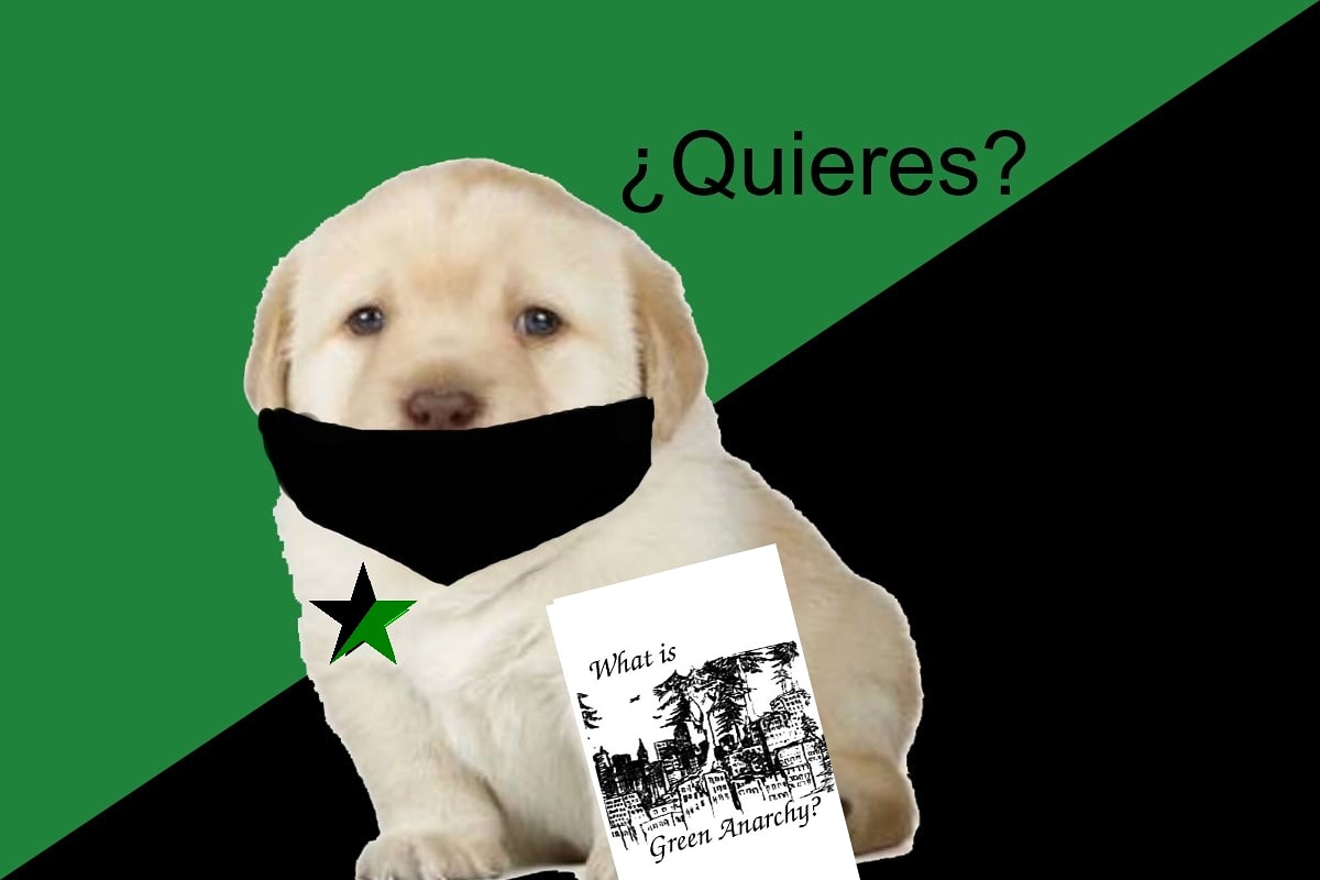 Euq6lZRUUAEPvgi.jpeg