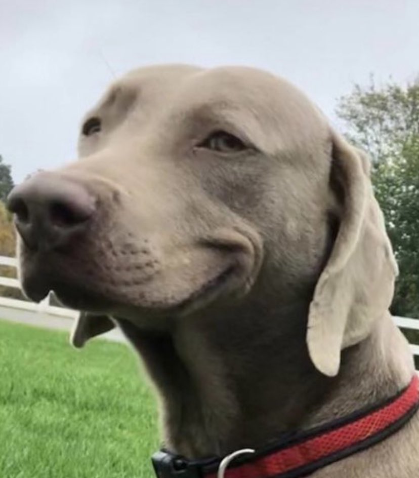 Evaw57MXYAEEtPL.jpeg