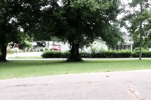 ezgif-4-b8946642d20b.gif