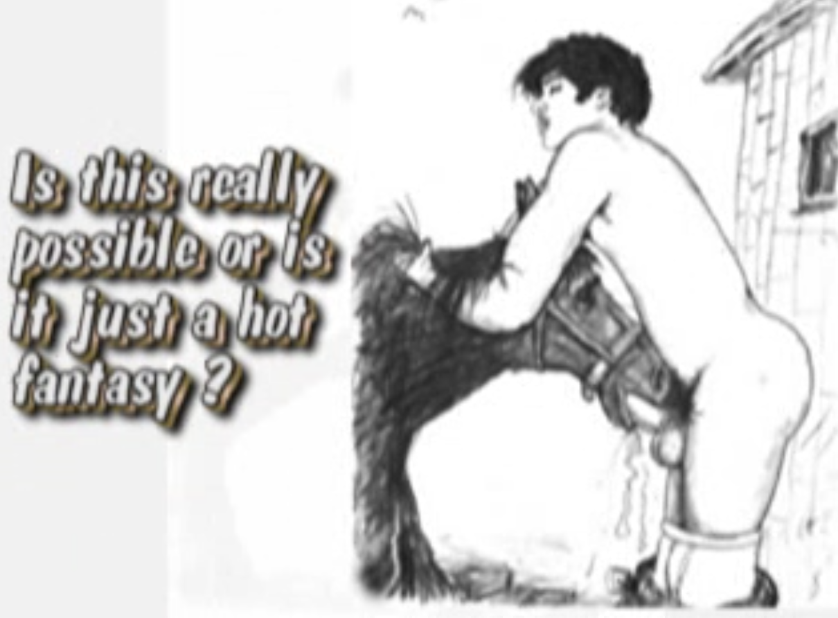 f6.PNG