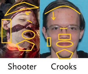 facialfeaturecomparisonsforniggerswithfaceblindness - Copy.jpg