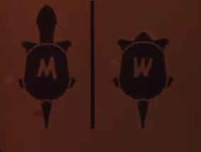 fagturtle.png