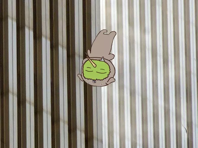 falling kiwi.webp