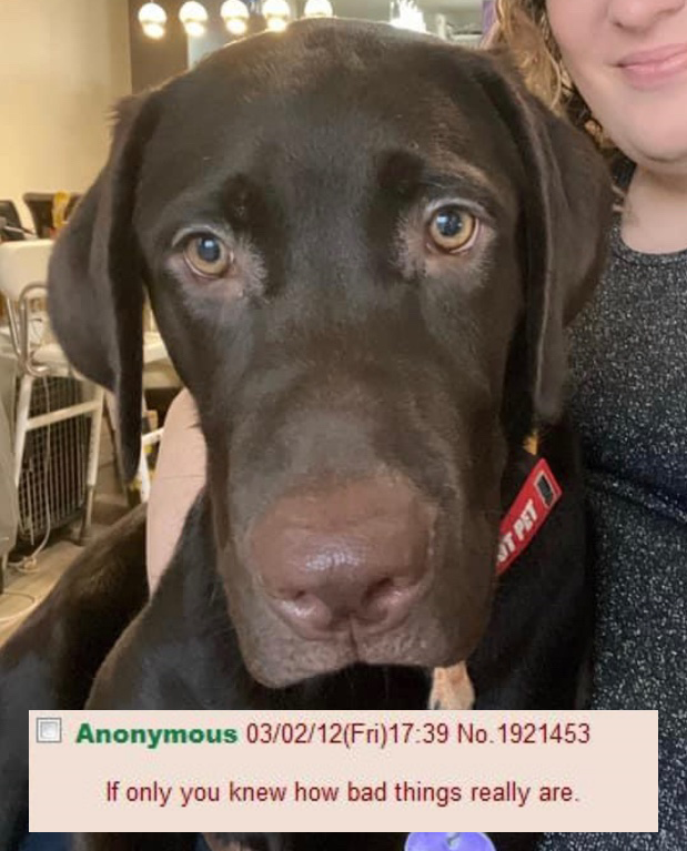 FC0mBApUUAgDHyd.png