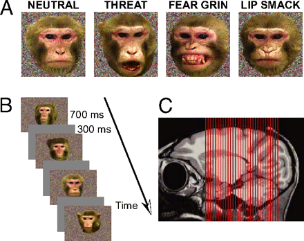 696978