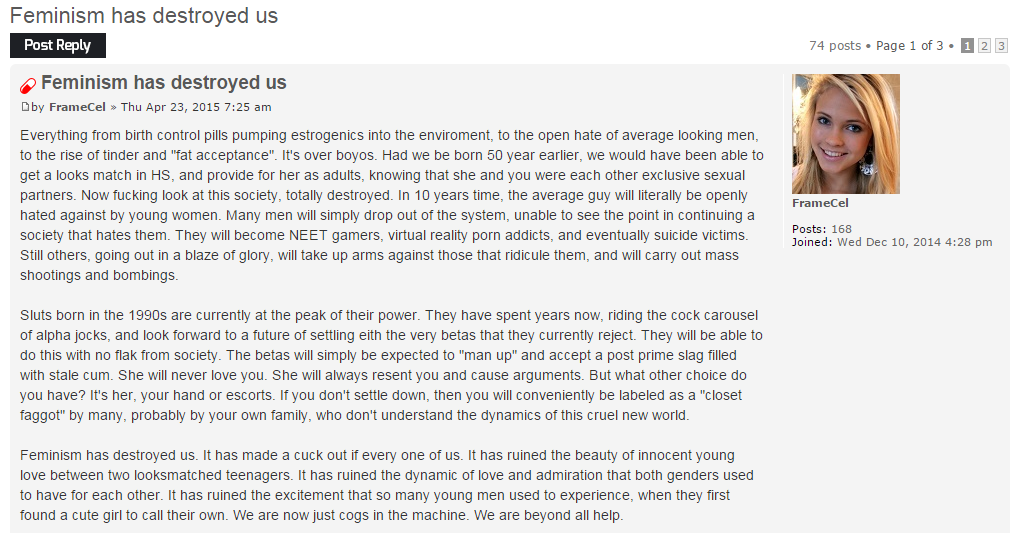 Feminism has destroyed us -  SlutHate.com  PuaHate .png