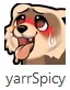 ferret.webp