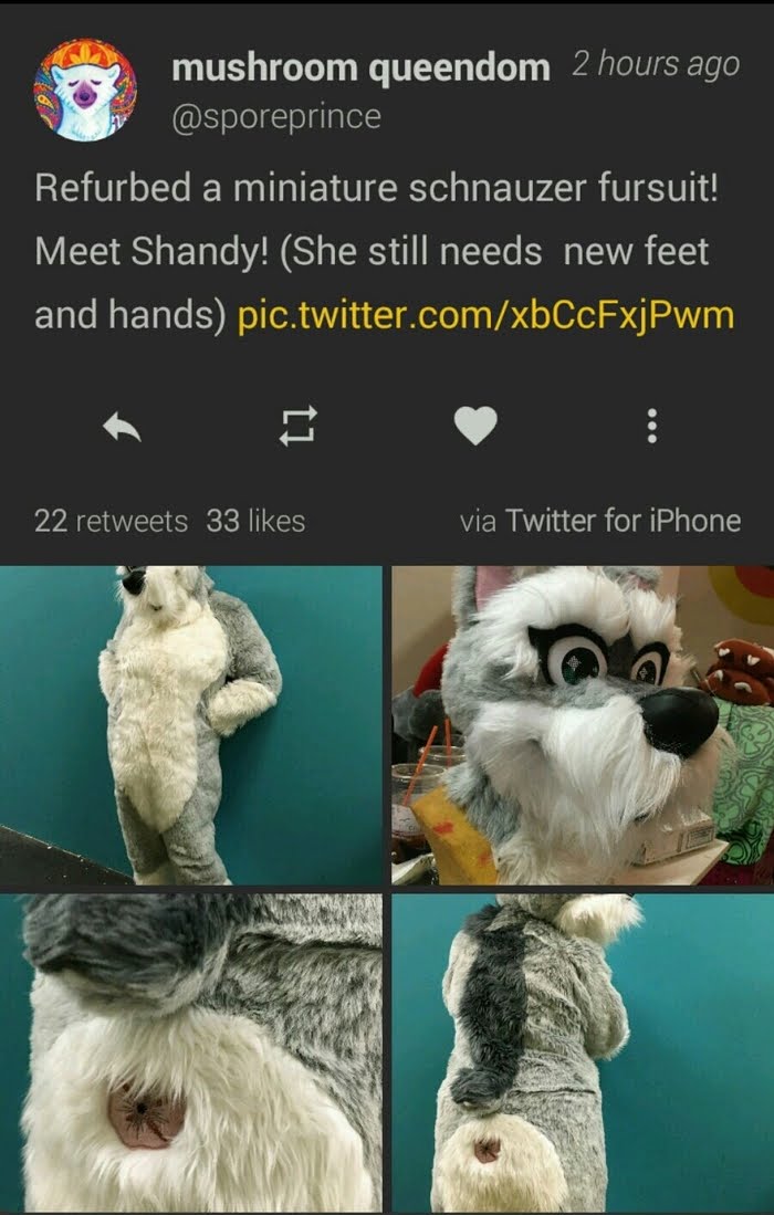 fetchimage.jpeg