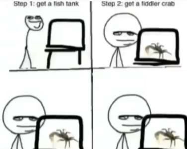 fiddler_crab.jpg