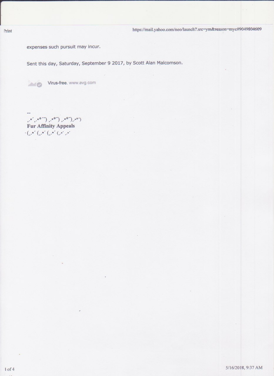 file_4294.jpg