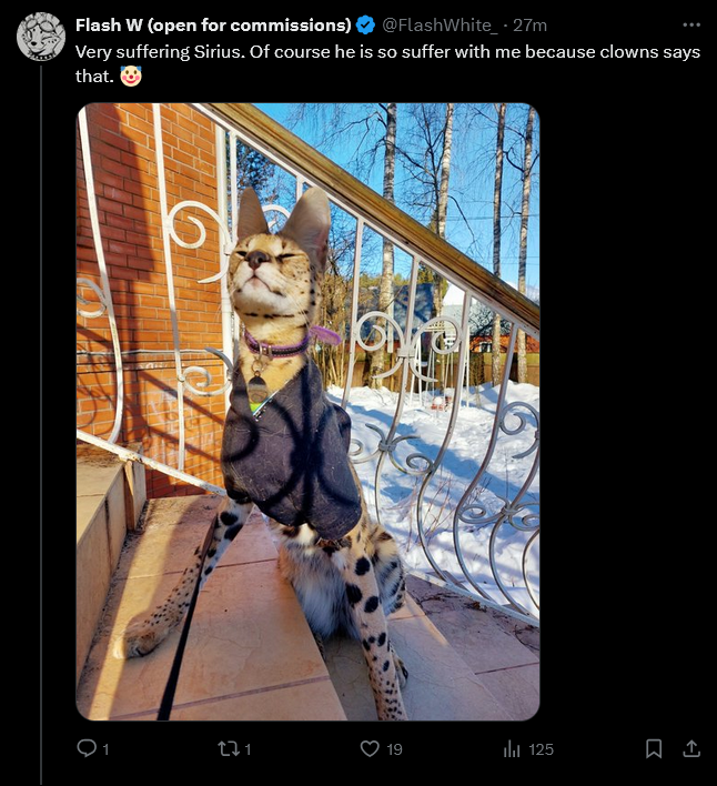 firefox_Adz5oaGDxk.png