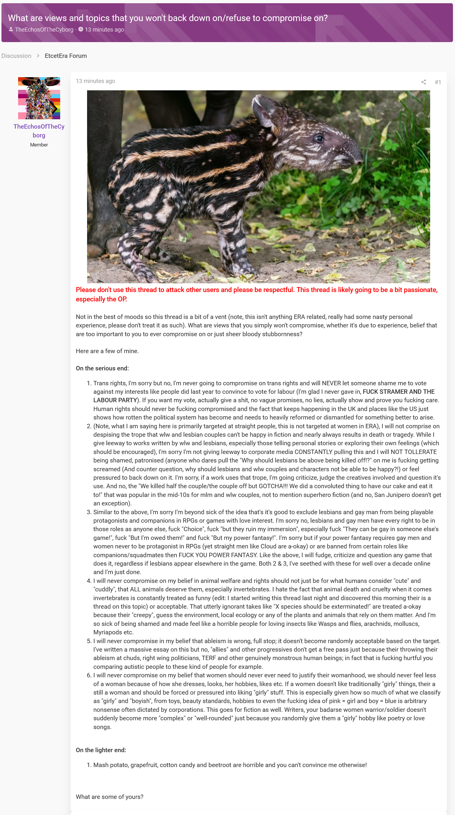 Firefox_Screenshot_2025-05-08T13-09-56.619Z.webp