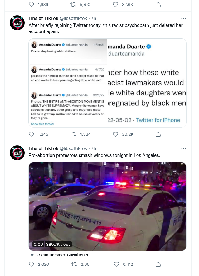 FireShot Capture 22 - Libs of TikTok (@libsoftiktok) _ Twitter - https___twitter.com_libsoftik...png